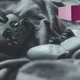 Image for article titled The Best Video Game Controllers, According to Our Readers